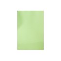 Gekleurd papier A4 100 licht Groen 80gr/m2