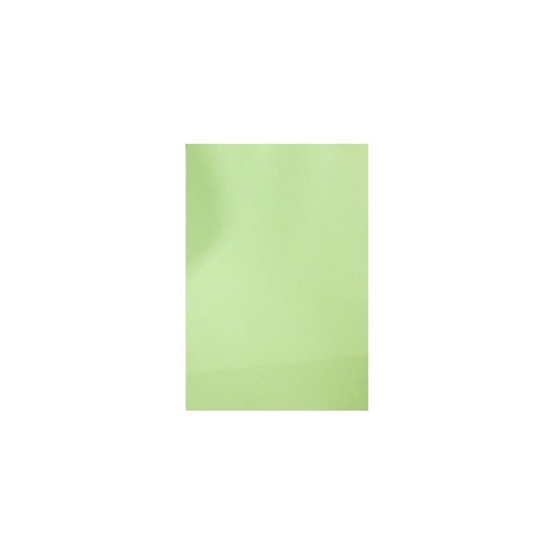 Gekleurd papier A4 100 licht Groen 80gr/m2
