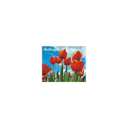 Brillendoekje Holland Tulpen