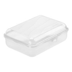 Rotho Lunchbox Fun medium 1,25L transparant