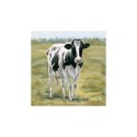 Tableau Vache Fourrure Noire 40x40cm dans cadre en bois blanc