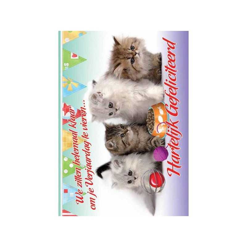 Cartes de voeux Félicitations animal paquet de 10 pièces avec enveloppe