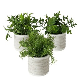 Boltze Home Plante Eucalyptus en pot en pierre H17cm Dia15cm