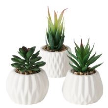 Boltze Home Kunstplant vetplant in stenen pot wit H15cm B7cm