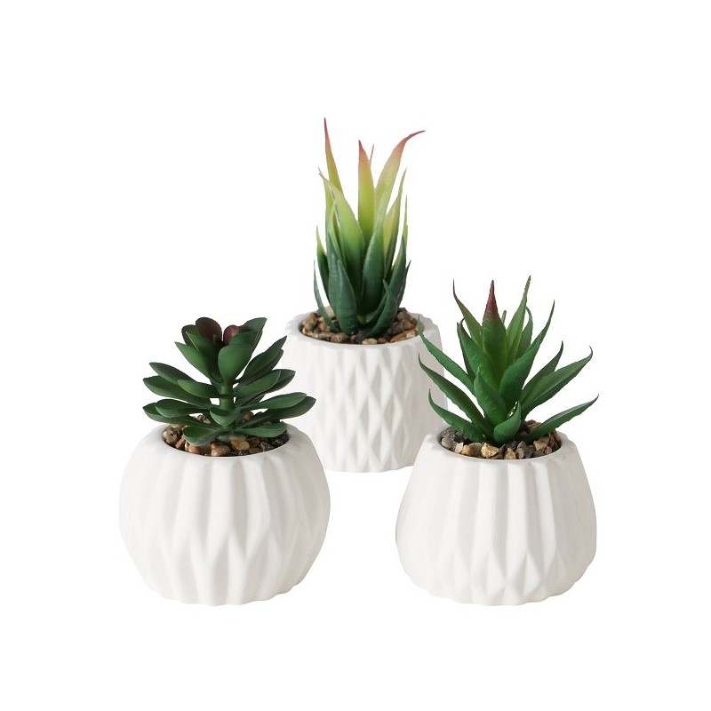 Boltze Home Kunstplant vetplant in stenen pot wit H15cm B7cm