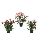 Decoris Kunststof plant Fuchsia in kunststof pot zwart L30-B30-H30cm verkrijgbaar in paars, roze of wit
