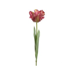 Decoris Tulipe polyester L13-W10-H68cm Rose