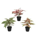 Decoris Plante polyester en pot plastique L35-L35-H37cm - disponible en 3 coloris différents