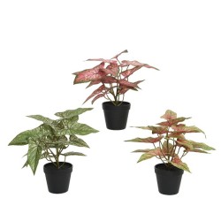 Decoris Plant polyester in kunststof pot  L35-W35-H37cm- verkrijgbaar in 3 verschillende kleuren