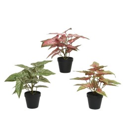 Decoris Plante polyester en pot plastique L35-L35-H37cm - disponible en 3 coloris différents