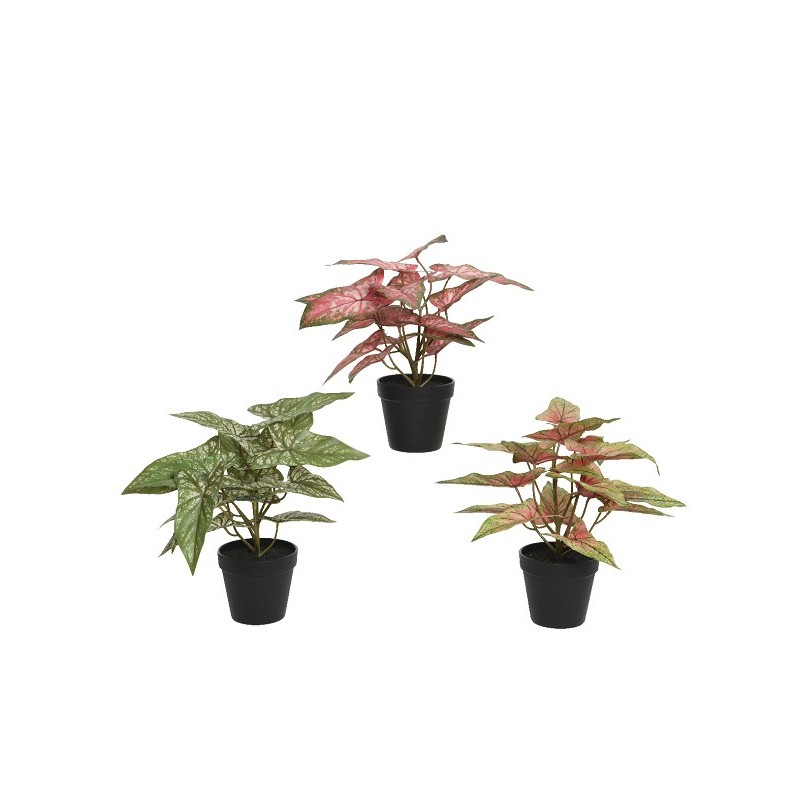 Decoris Plante polyester en pot plastique L35-L35-H37cm - disponible en 3 coloris différents