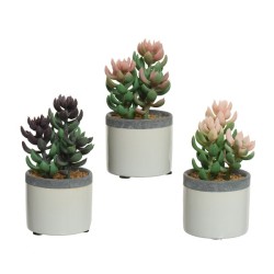 Decoris Plante succulente artificielle en pot céramique L7,5-L7,5-H14cm- disponible en 3 coloris différents