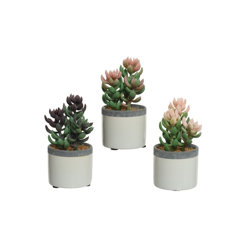 Decoris Plante succulente artificielle en pot céramique L7,5-L7,5-H14cm- disponible en 3 coloris différents