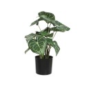 Plante artificielle Decoris Anthurium Clarinervium en pot noir L33-L31-H41cm