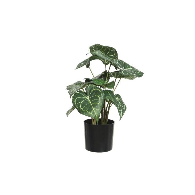 Plante artificielle Decoris Anthurium Clarinervium en pot noir L33-L31-H41cm