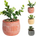 Plante succulente en pot 12cm disponible en 3 variétés différentes