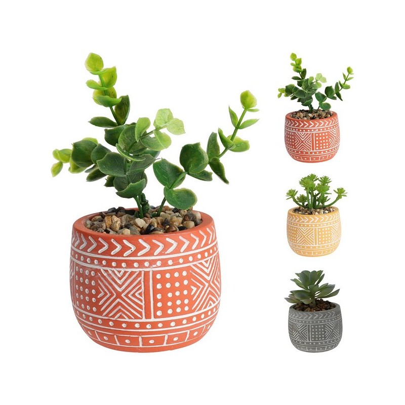 Plante succulente en pot 12cm disponible en 3 variétés différentes