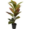 Plante artificielle calathea en pot plastique 65cm