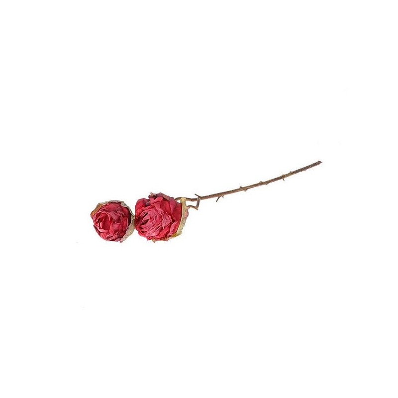 Branche déco rosier Orossy 45cm rouge- à fleurs doubles