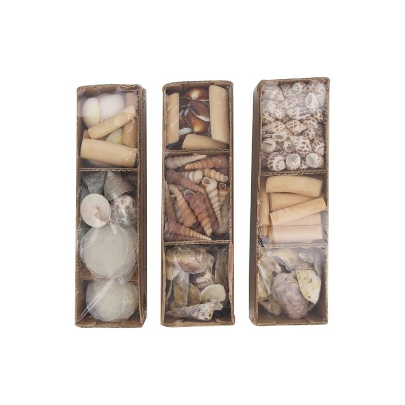 Dijk Natural Collections Schelpen in tray 28x8x8cm