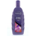 Andrelon Shampoing Brillance & Soin 300 ml