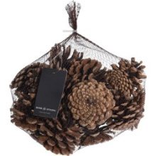 Coffret de pommes de pin 300 grammes naturel