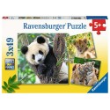 Ravensburger Puzzle Panda, tigre et lion 3x49 pièces