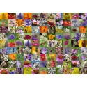 Ravensburger 99 puzzle abeille 1000 pièces