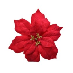 Decoris Poinsettia étoile de Noël velours sur clip Dia 16cm
