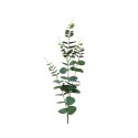 Decoris Fleur Artificielle Eucalyptus H78cm Vert