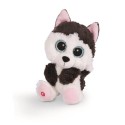 NICI Glubschis peluche husky Barkley 15cm