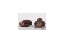 Farmwood Animals Tuinbeeld Egel met kind 10x7x8 cm