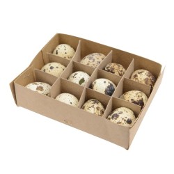 Oeufs de caille naturels 12x10x3cm 12 pièces en boîte