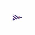 Friese vlag Puntvlag Friesland 20x30 cm