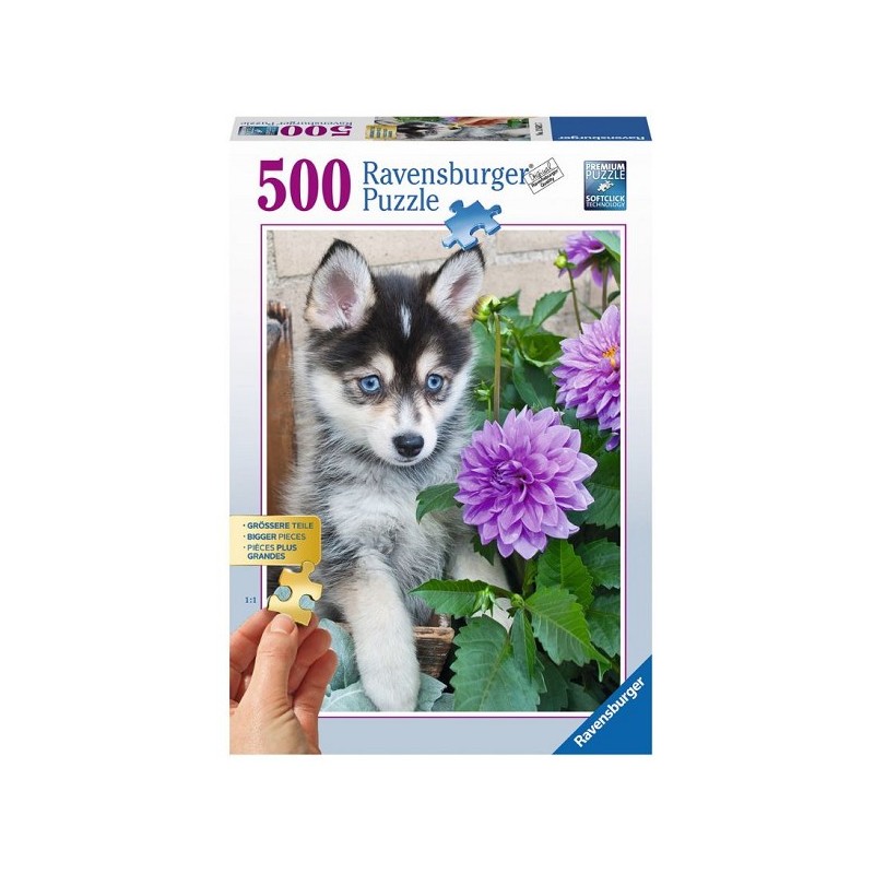 Puzzle Ravensburger 500 grandes pièces de puzzle Husky mignon,Âge : à partir de 14 ansTaille : 46x61 cm