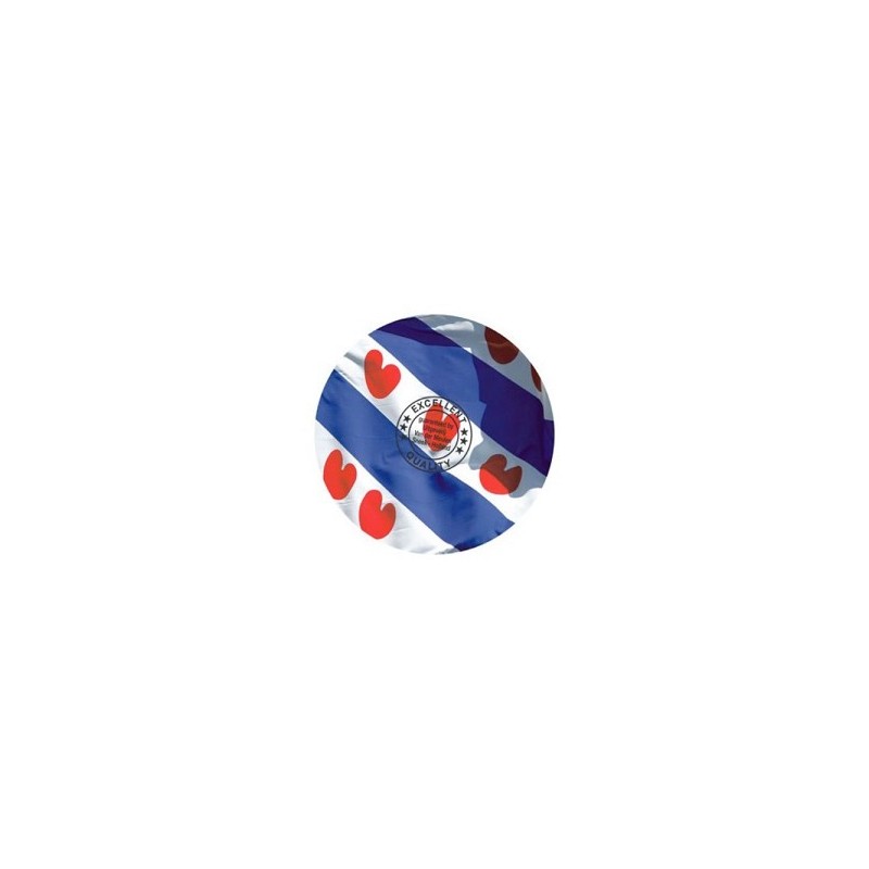 Magneet rond Fryslan