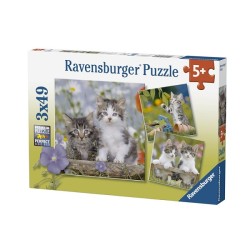 Ravensburger Puzzle Chatons, 3x49 pièces