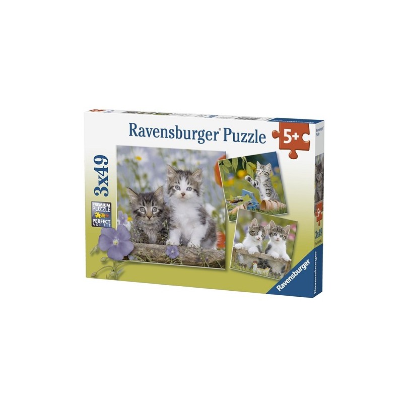 Ravensburger Puzzel Jonge katjes, 3x49 stukjes