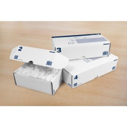 Raadhuis Postpakketdoos met bedrukking 5 stuks 305x215x110mm