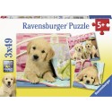 Ravensburger puzzle Chiens mignons 3x49pcs