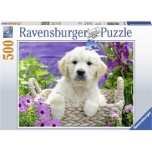 Ravensburger puzzle Doux Golden Retriever 500 pièces