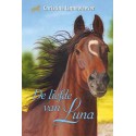 Kluitman Gouden paarden Liefde van Luna