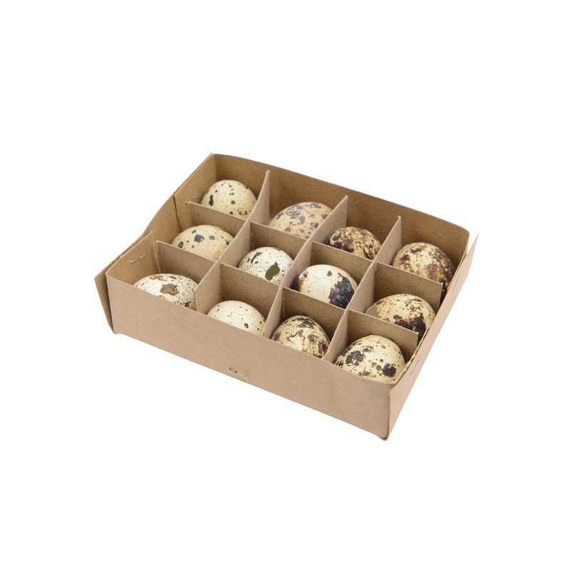 Oeufs de caille naturels 12x10x3cm 12 pièces en boîte