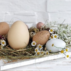 Ambiente Servetten 33x33cm Pastel Eggs 20 stuks