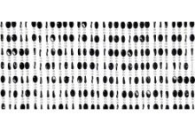 Vliegengordijn Charlotte 100x240cm zwart 100% PVC