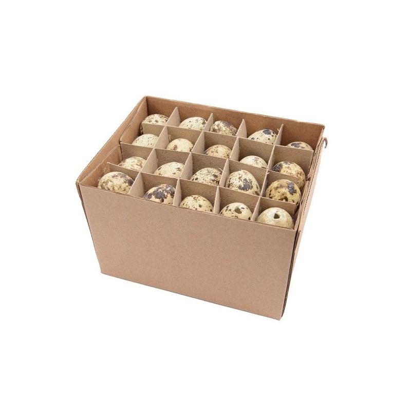 Décoration Oeufs de caille (non destinés à la consommation) boîte de 60 pièces. Ce sont des œufs de caille « vides » destinés à 