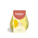 Bolsius True Citronella Patiolight glas Ø9,1xh9,4cm