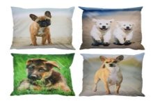 Esschert Design Coussin d'extérieur chien