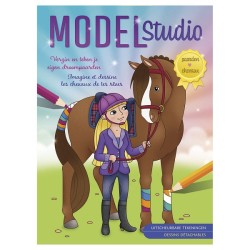 Deltas Model studio paarden