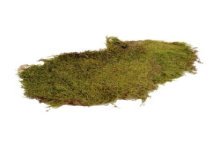 Hobby Flat Moss 80gram Naturel